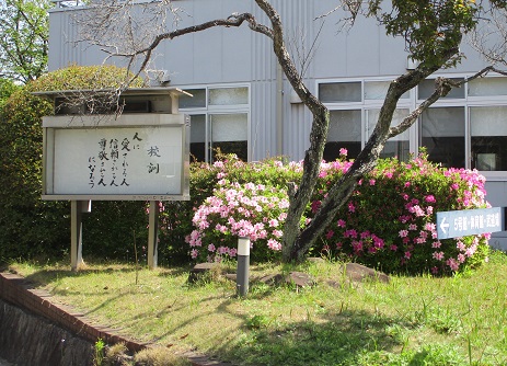 草花が綺麗に咲き出しました☆