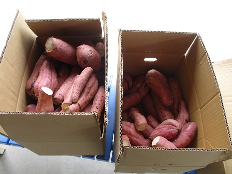 25baramaturikouhen (10).JPG