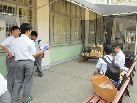 25kinpusaibunkabu (15).JPG