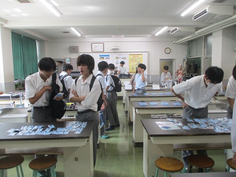 25kinpusaibunkabu (9).JPG