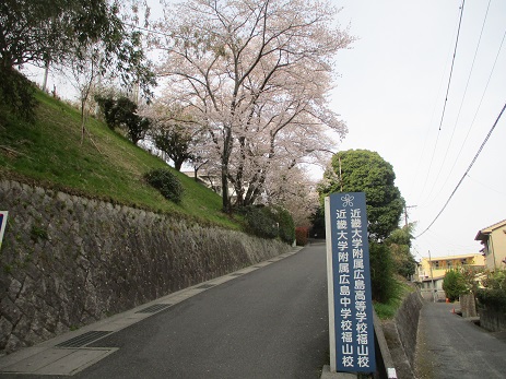 令和７年度のスタートです！