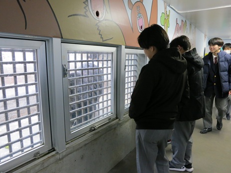 25kouken3kumabokujyo (4).JPG